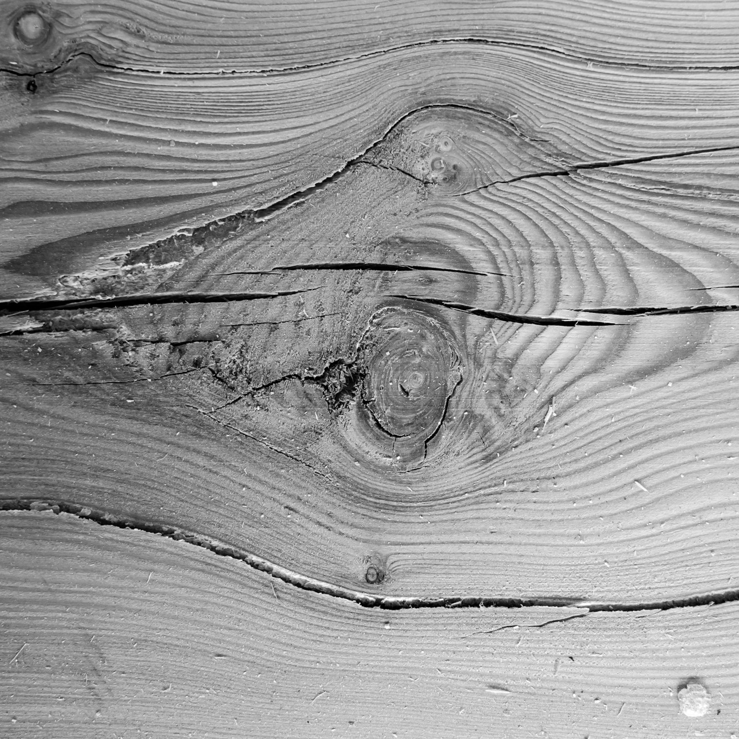 Construction d'une cabane