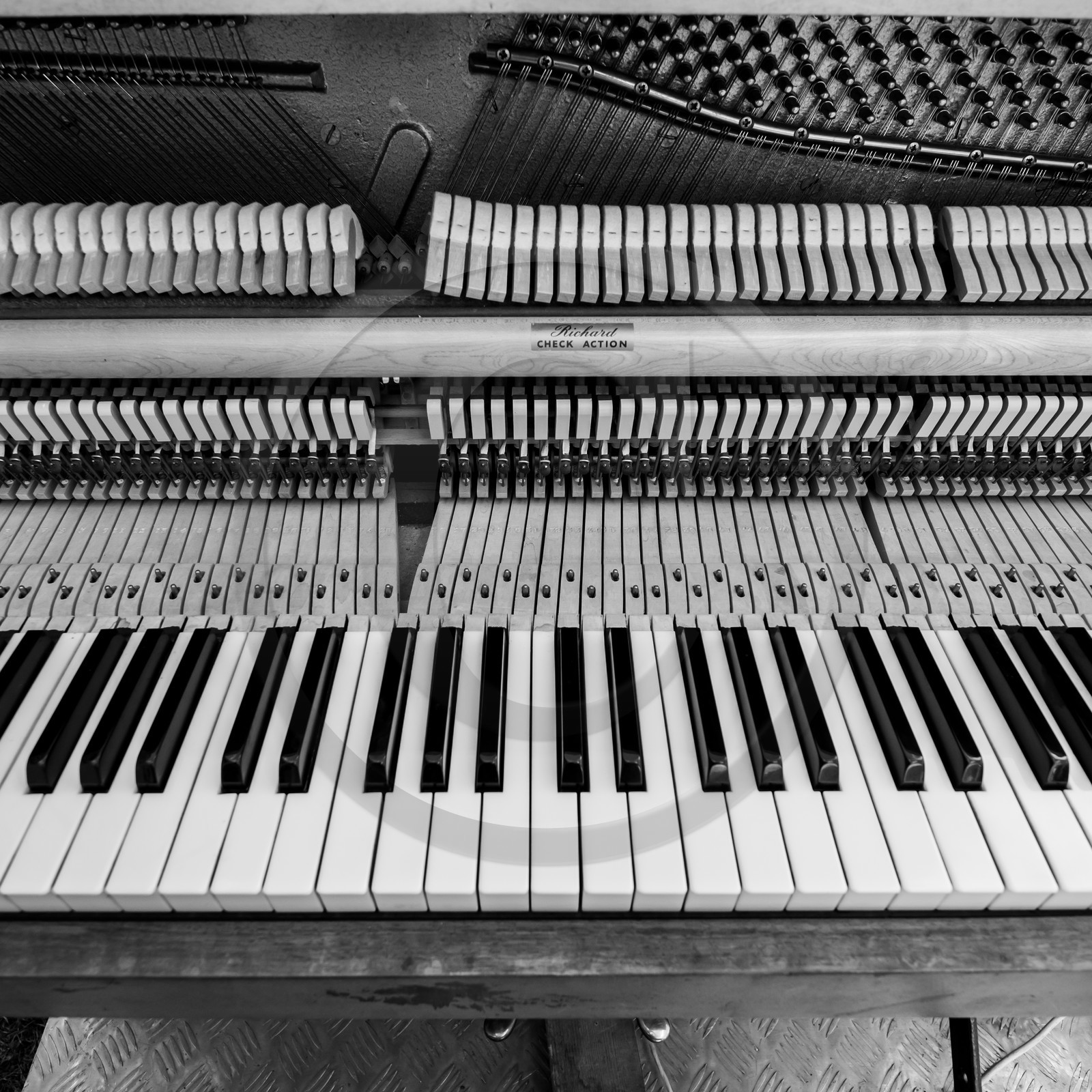 Animation musicale avec Philippe Séranne