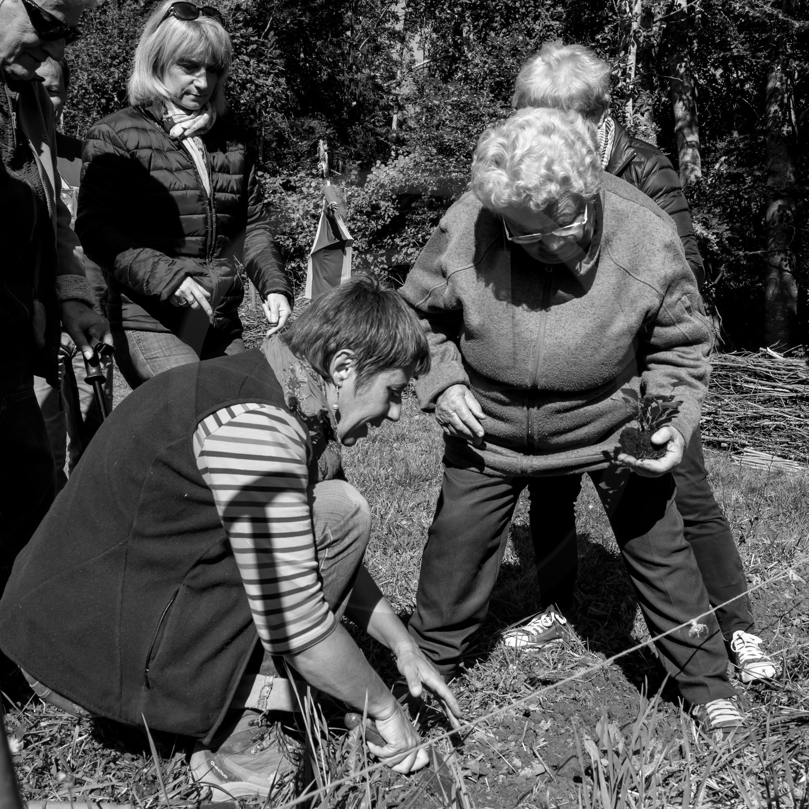 20 septembre 2017 - Jardinage