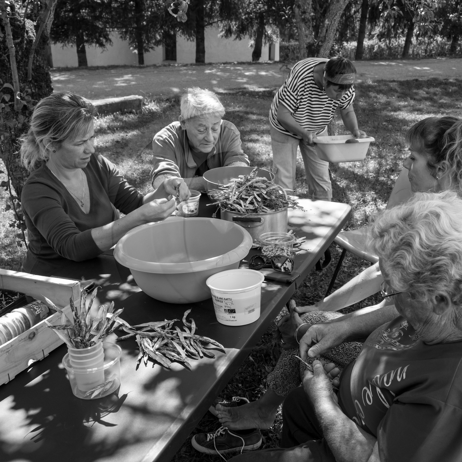 13 septembre 2017 - Chemins - Graines