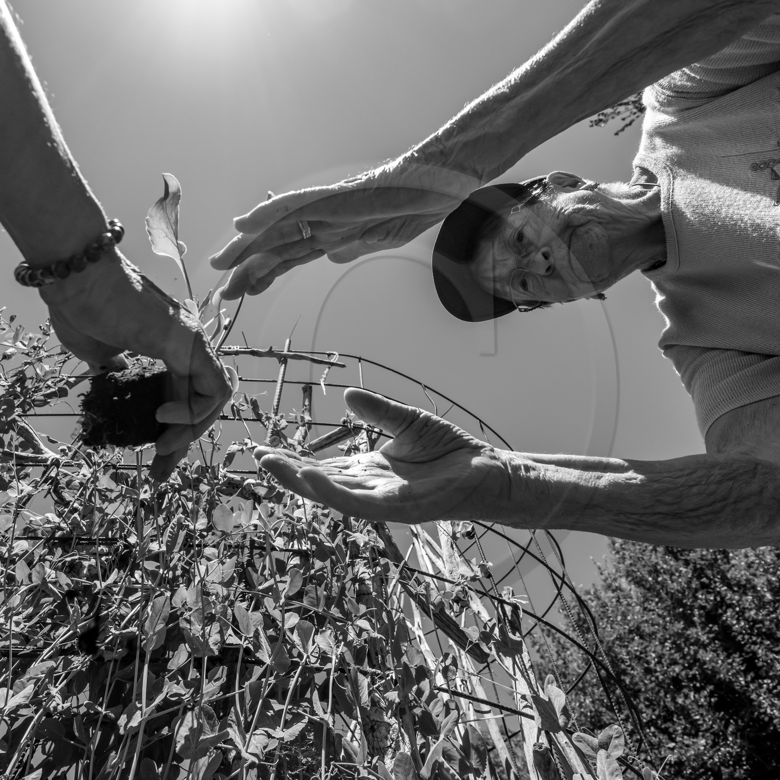 30 juin 2021 : Jardinage, jeux de cartes, masques