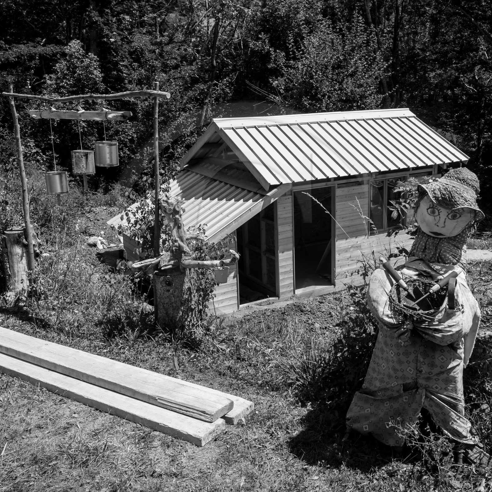 Construction d'une cabane