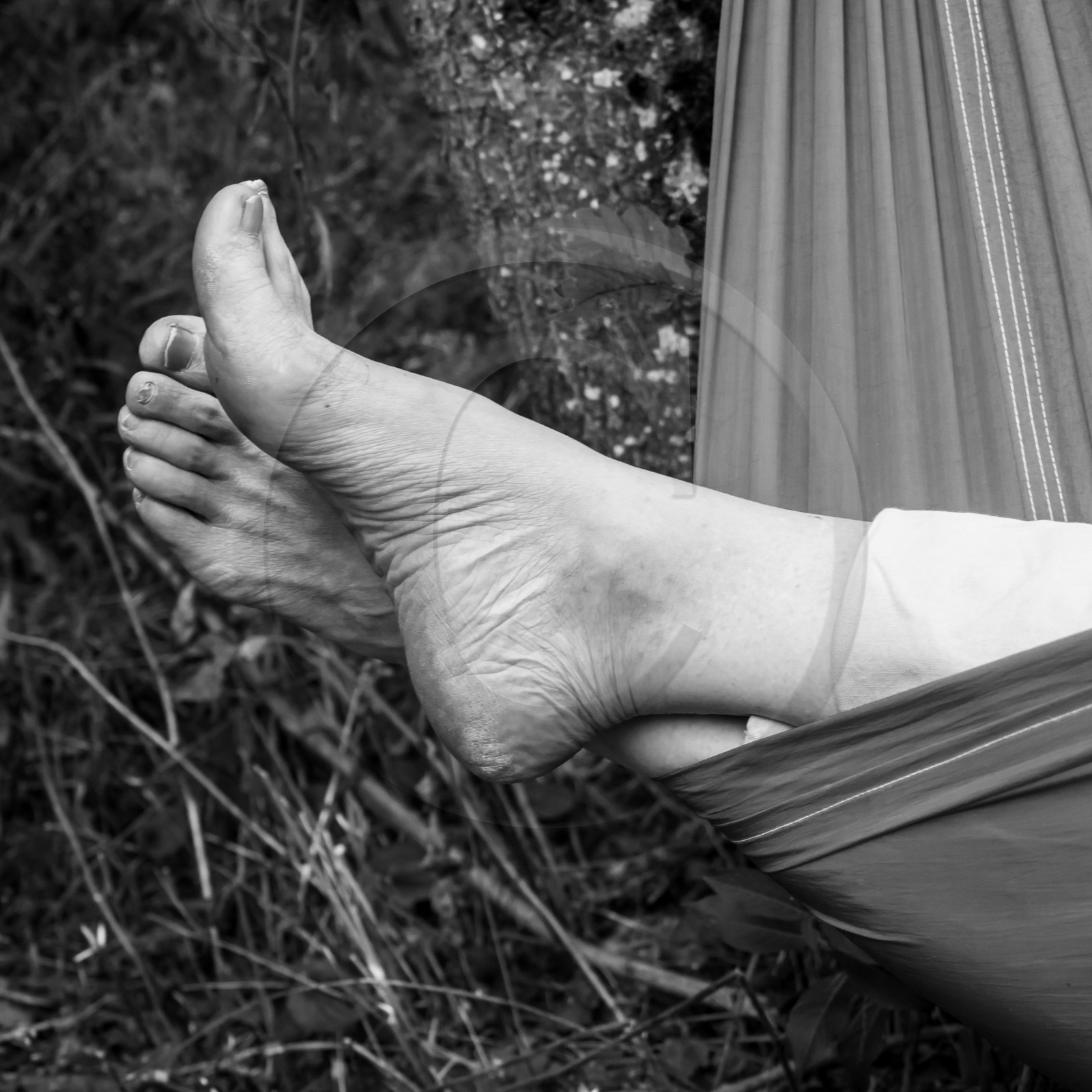 Sieste musicale