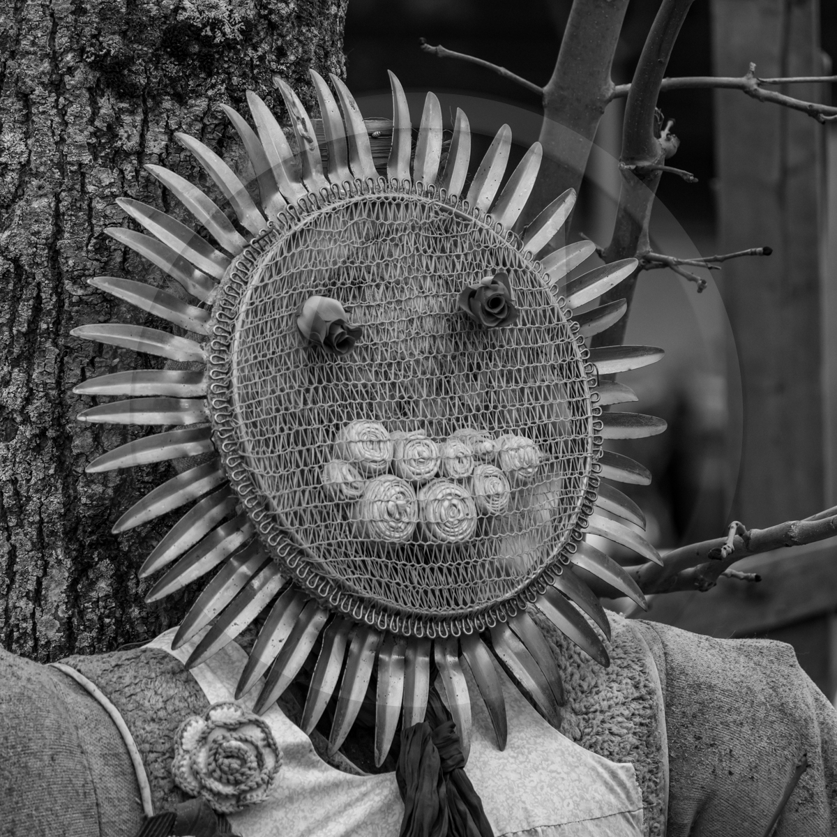 20 avril 2022 : des contes, des pommes de terre et un petit café