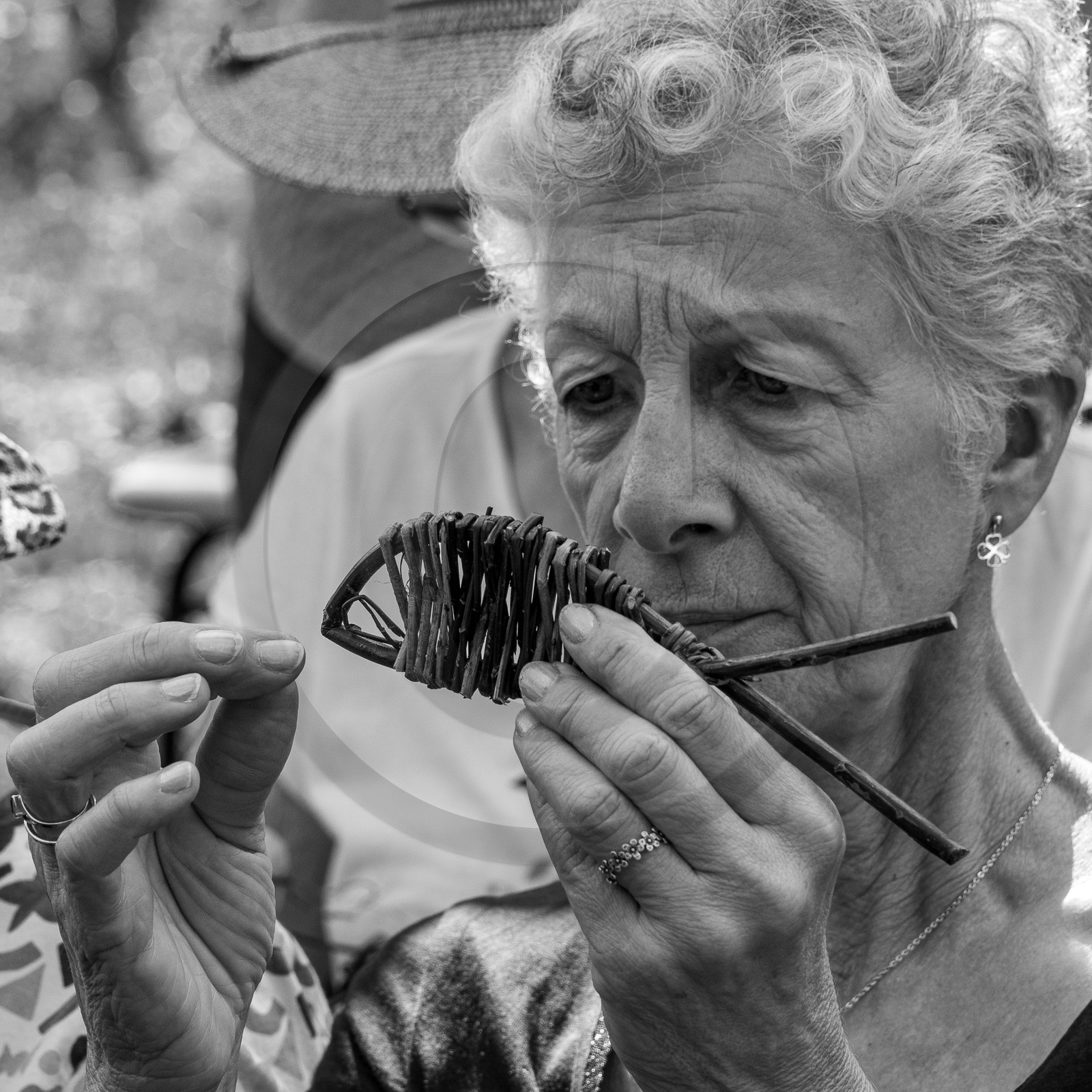 13 septembre 2023 : Osier et HydrOlique