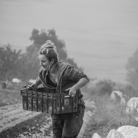 Maraichage biologique dans le Champsaur