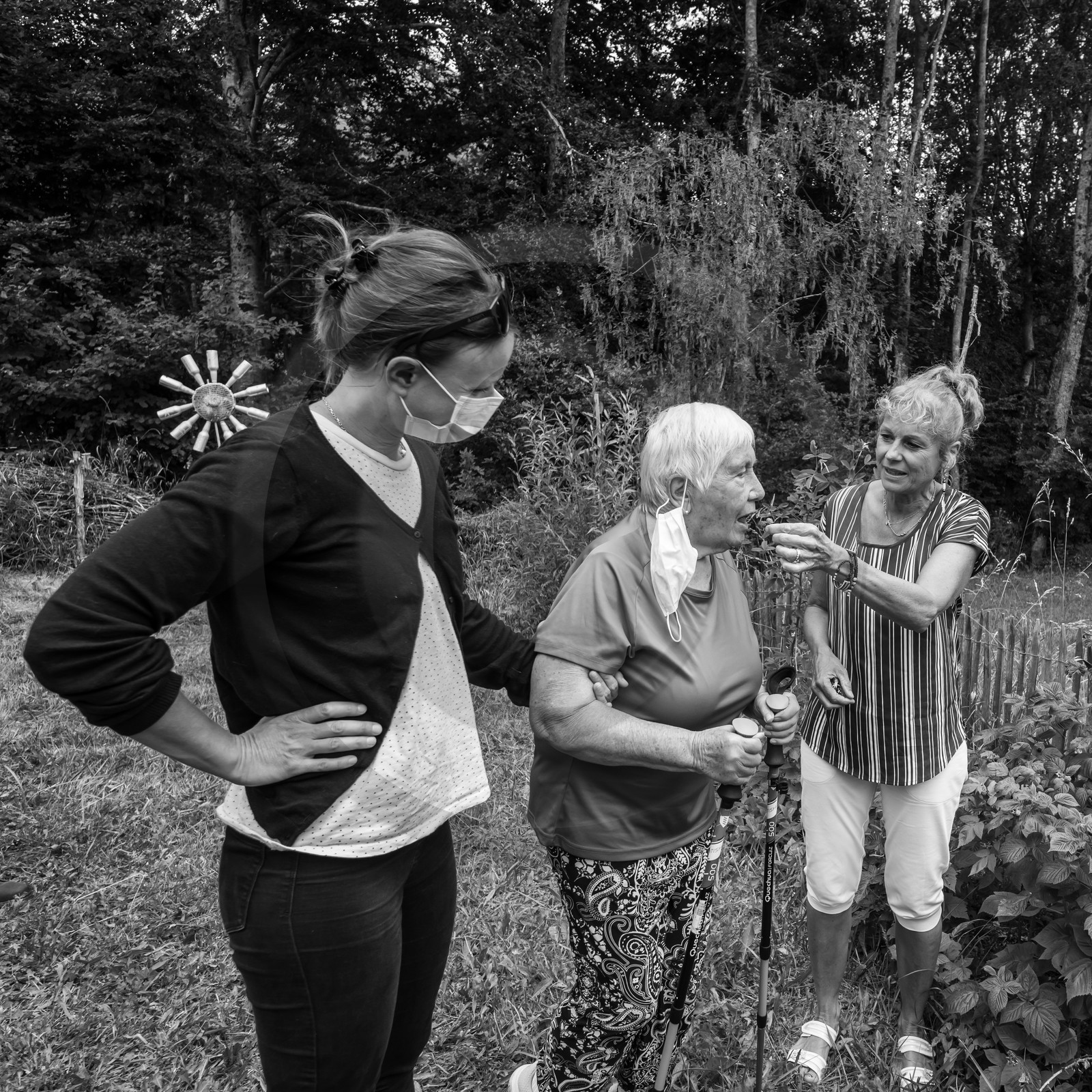 Promenades au jardin