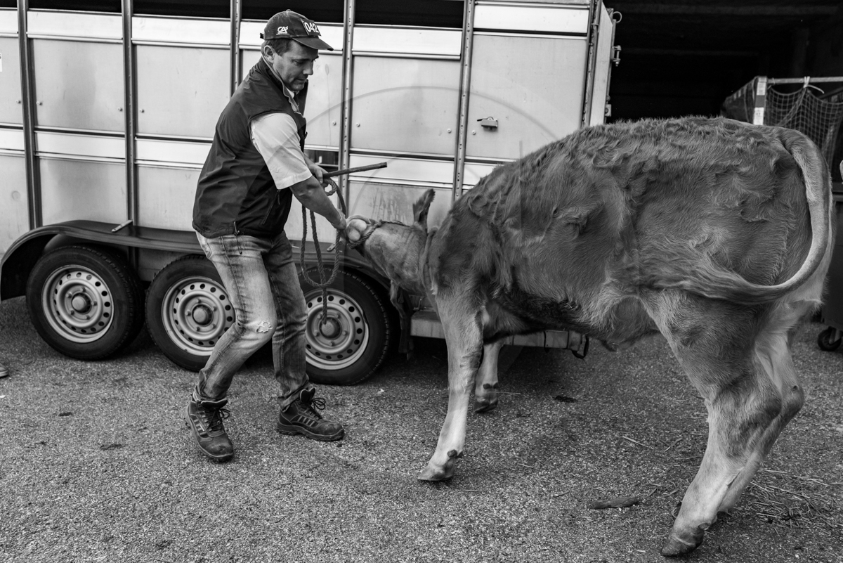 Rencontres paysannes à Saint-Bonnet en Champsaur