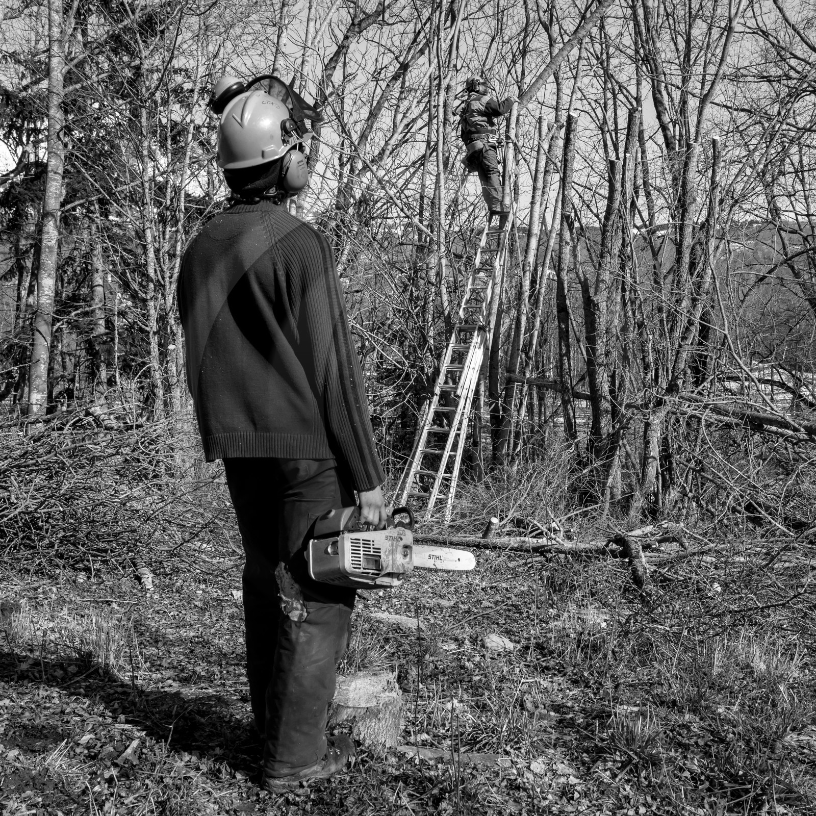 L'Ouort de Bénévent - 08 mars 2017