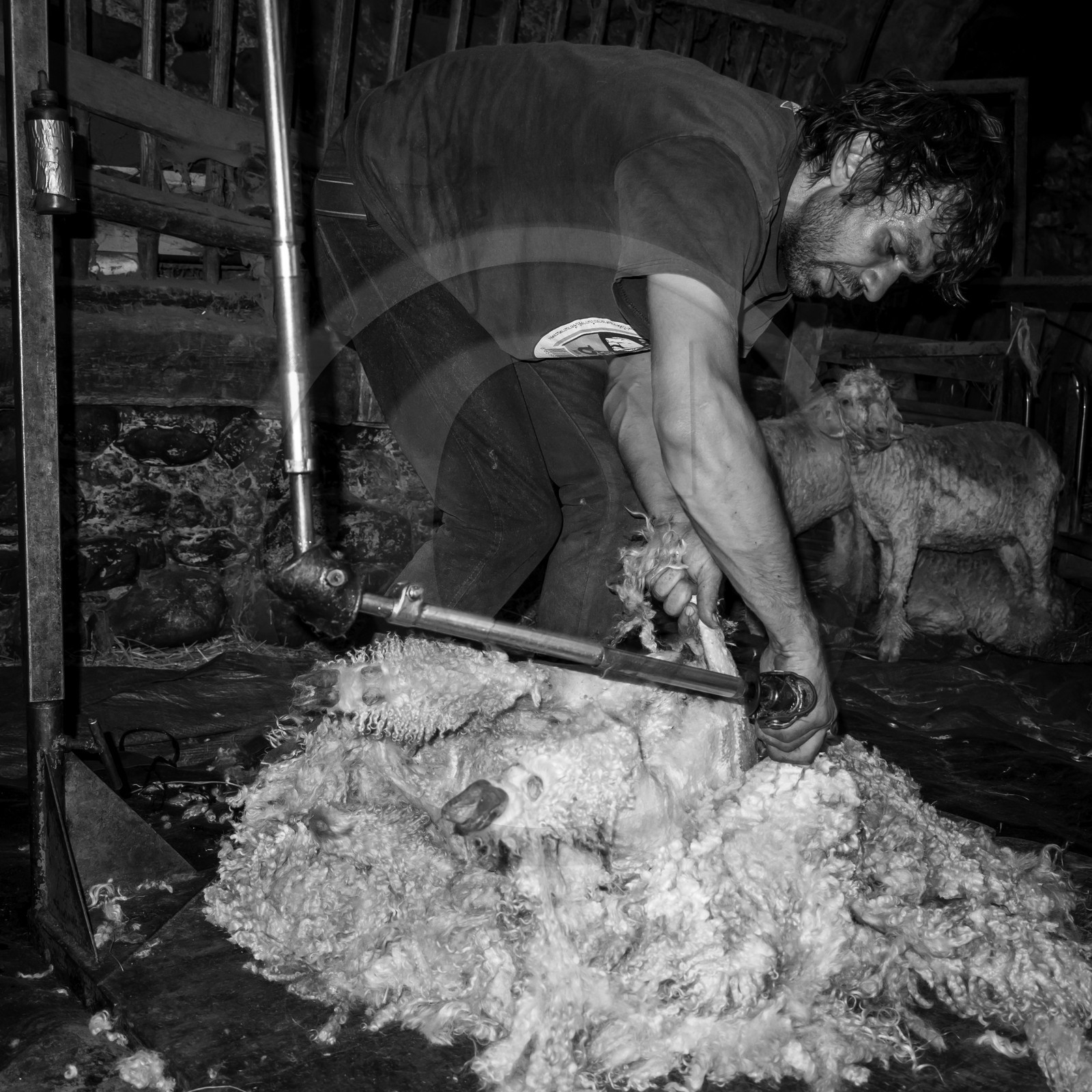 Le mohair arc en ciel