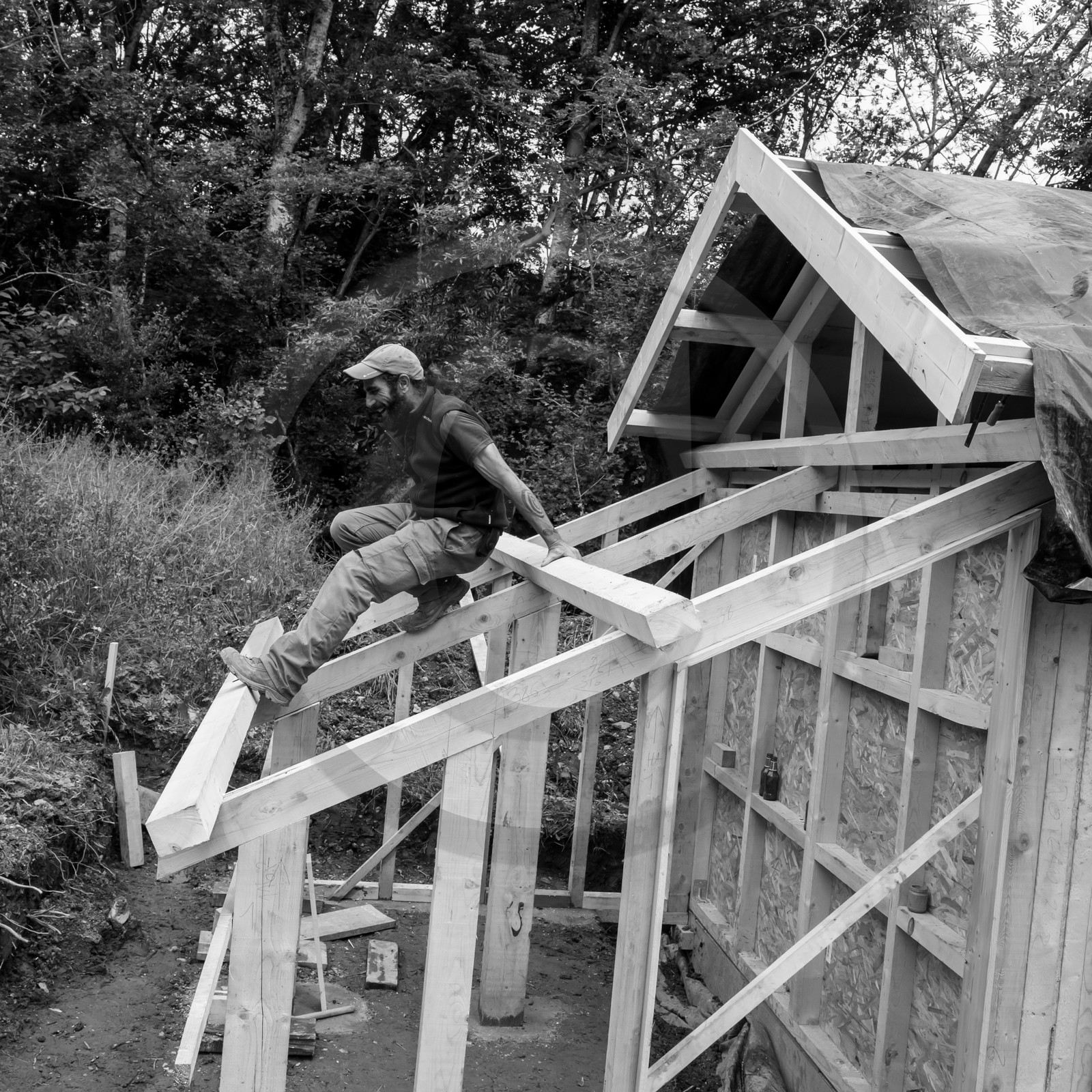 Construction d'une cabane