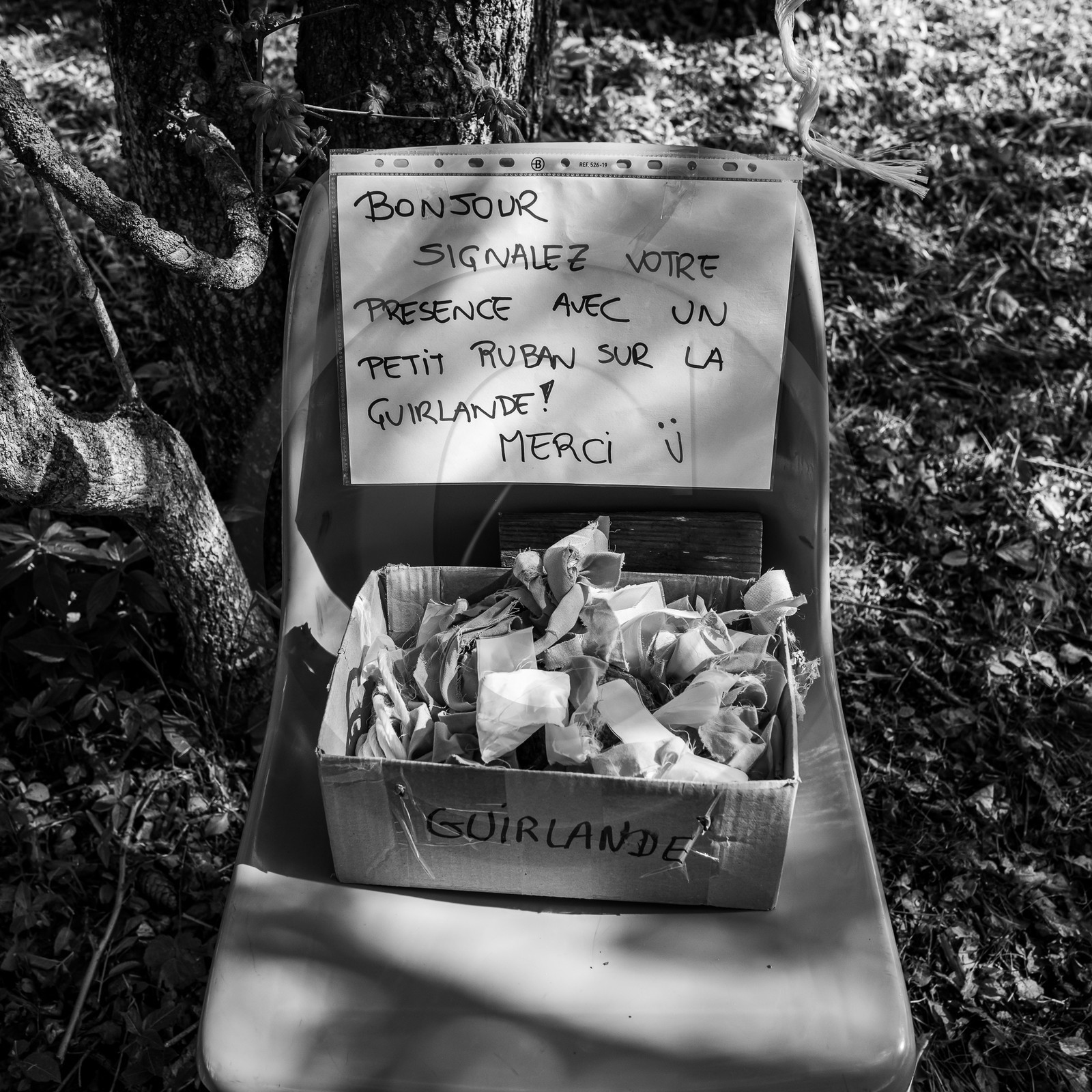 14 mai 2023 : Vide-Jardin