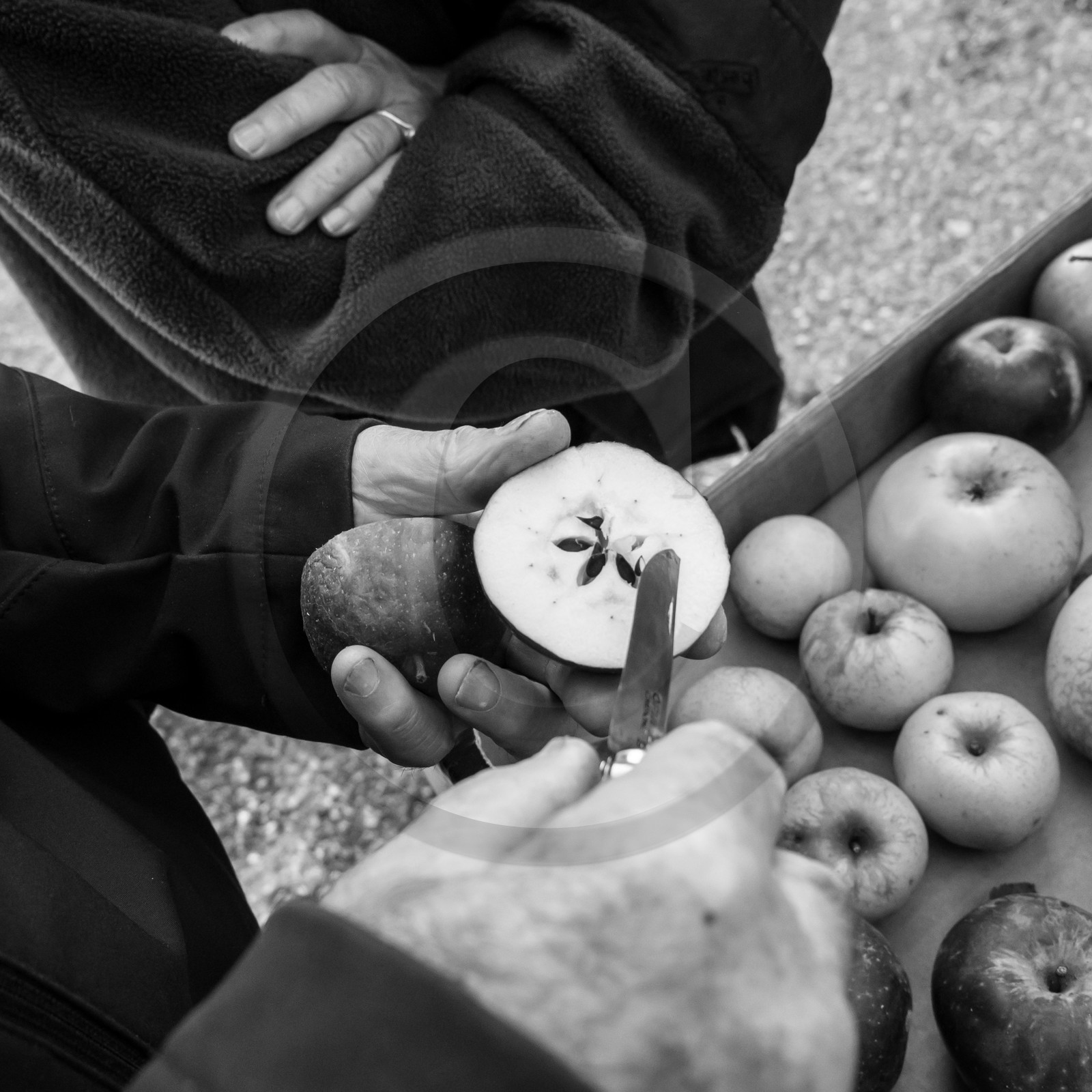 Ramène ta pomme