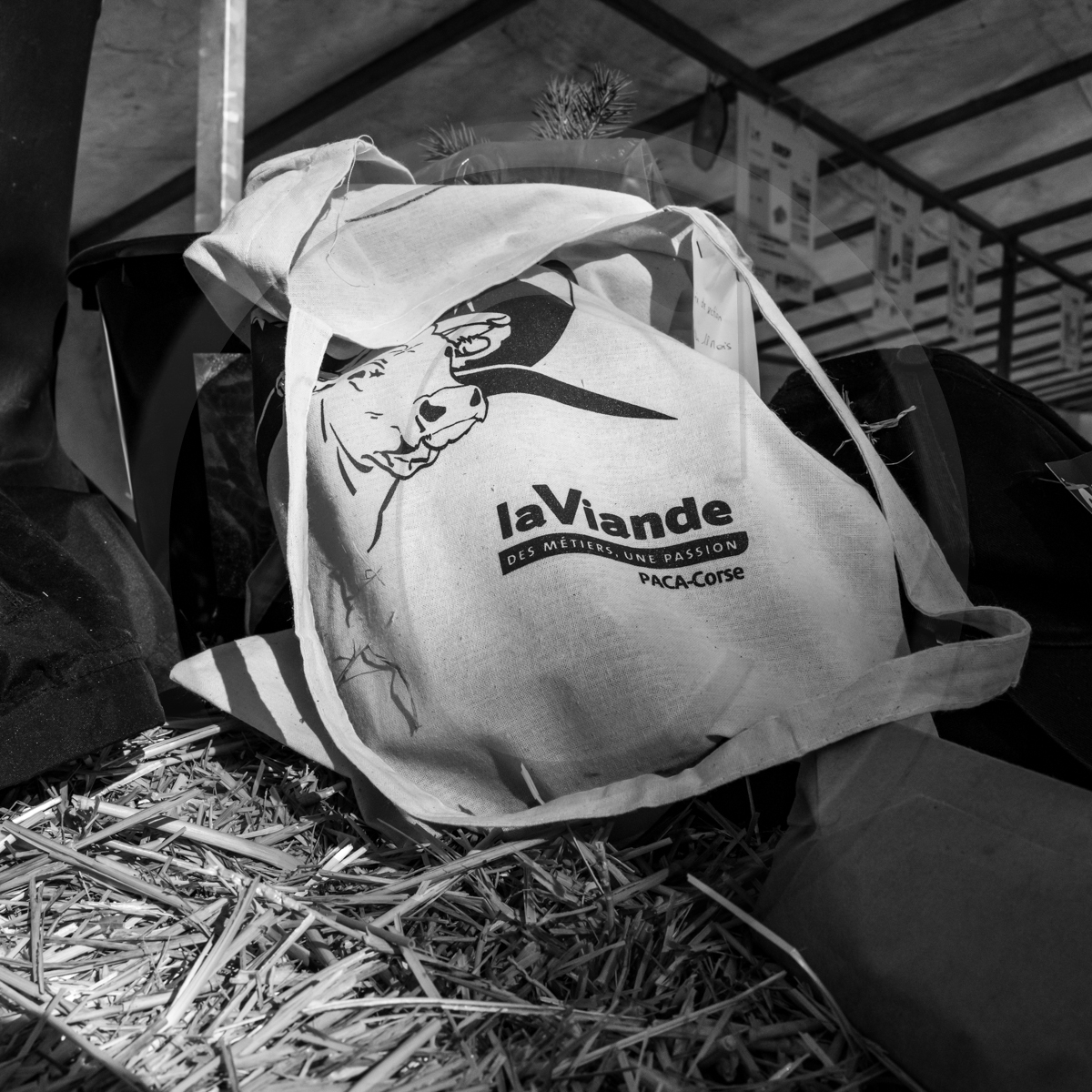 Rencontres paysannes à Saint-Bonnet en Champsaur