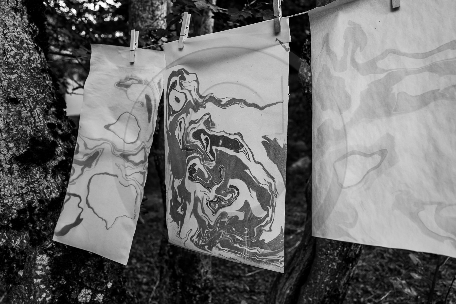 05 juillet 2023 : une cantine et des artistes