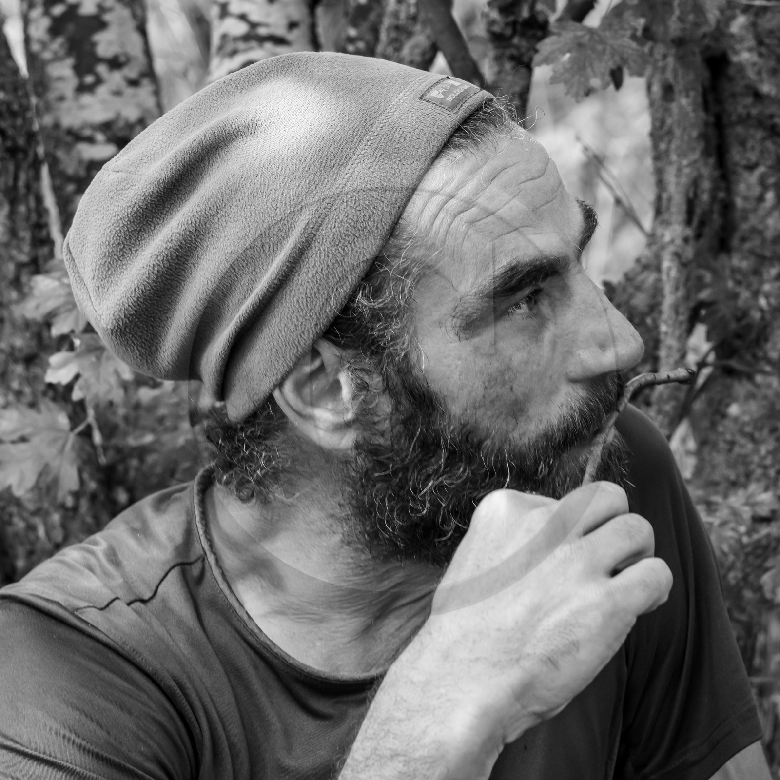 Contes Alice au pays des merveilles