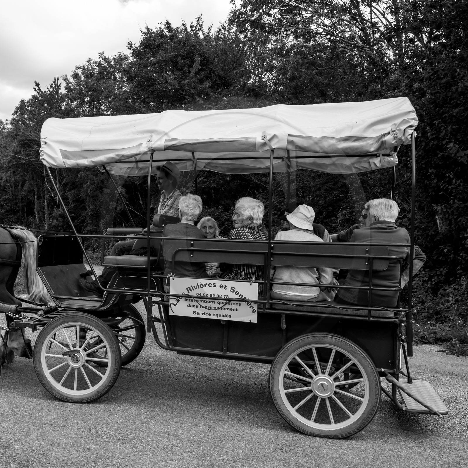 Promenade en calèche et contes