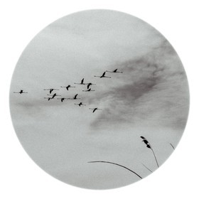 Les instants Camargue