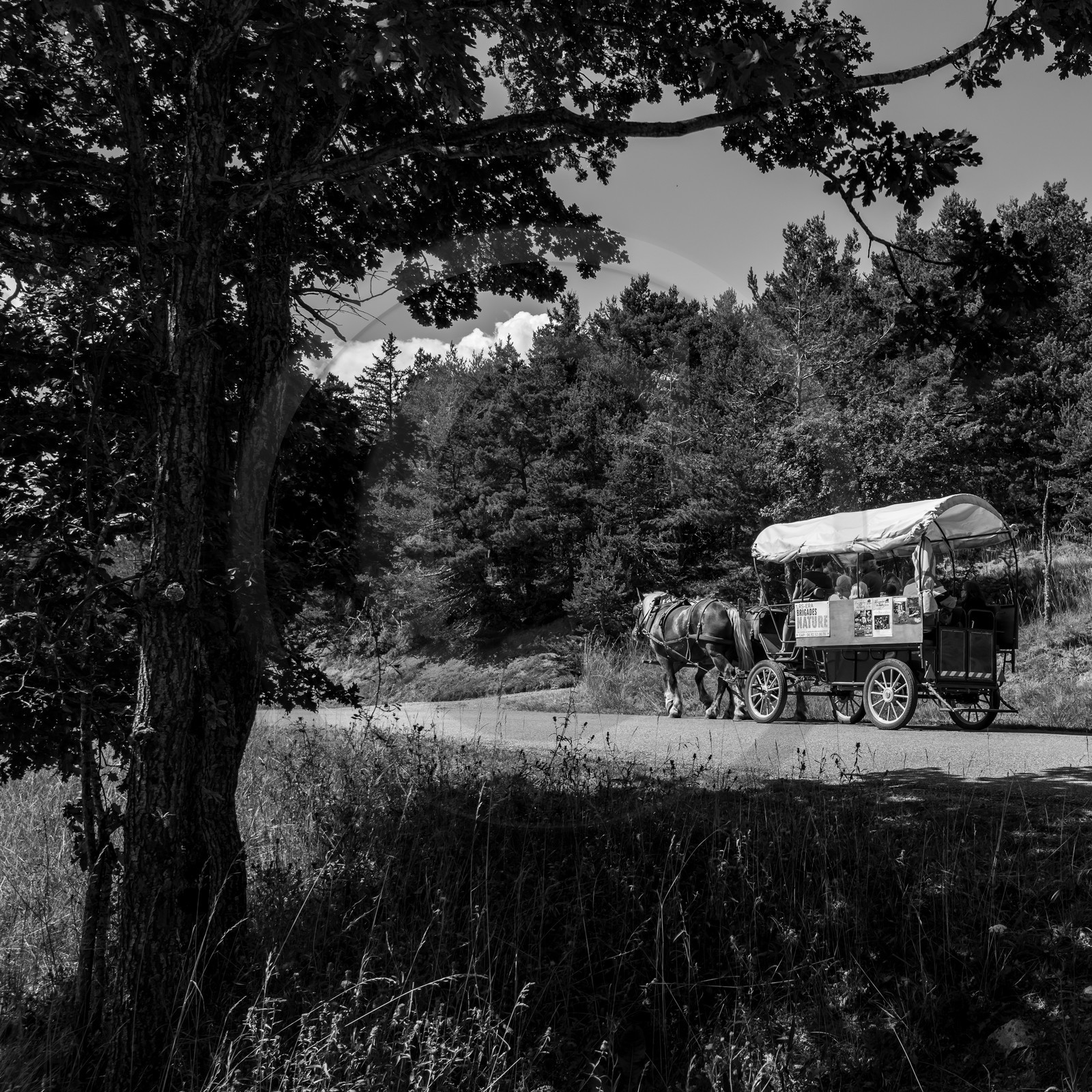 01 septembre 2021 : Promenade en cariole et contes