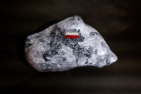 Expositions à la maison du Berger - Champoléon