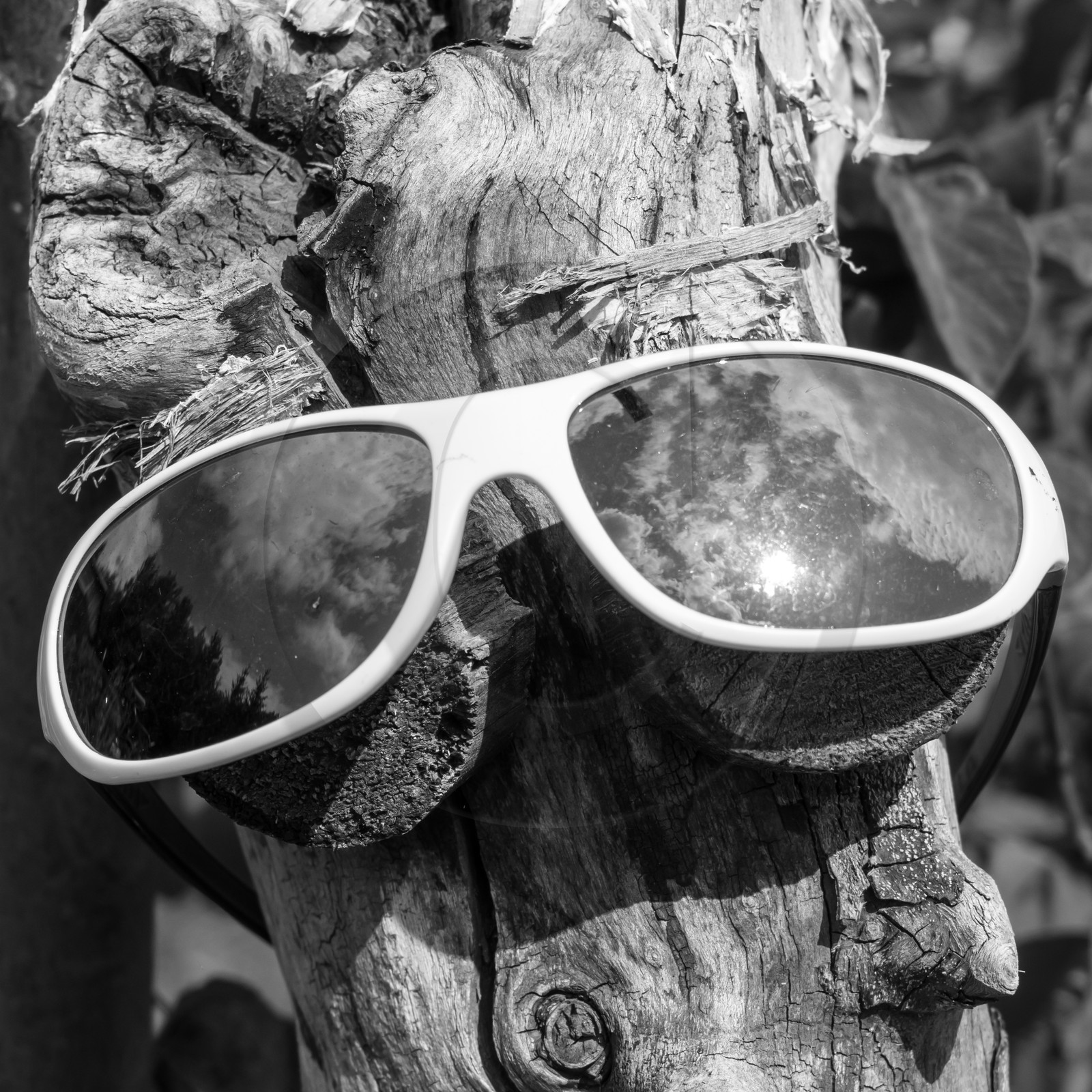 Une après-midi au jardin