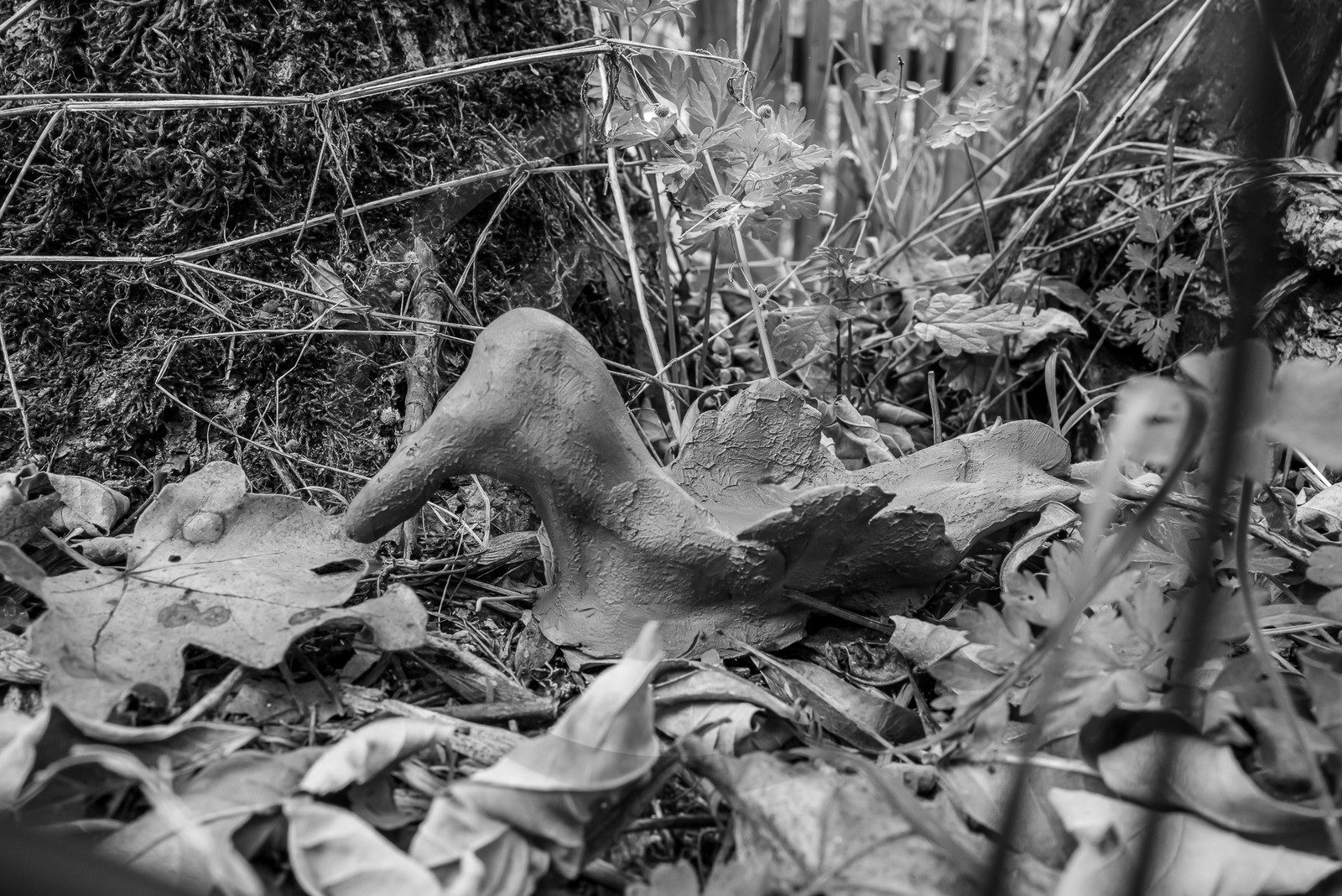 16 octobre 2023 : journée des aidants et des aidés