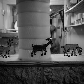 La ferme de Coste Joffre