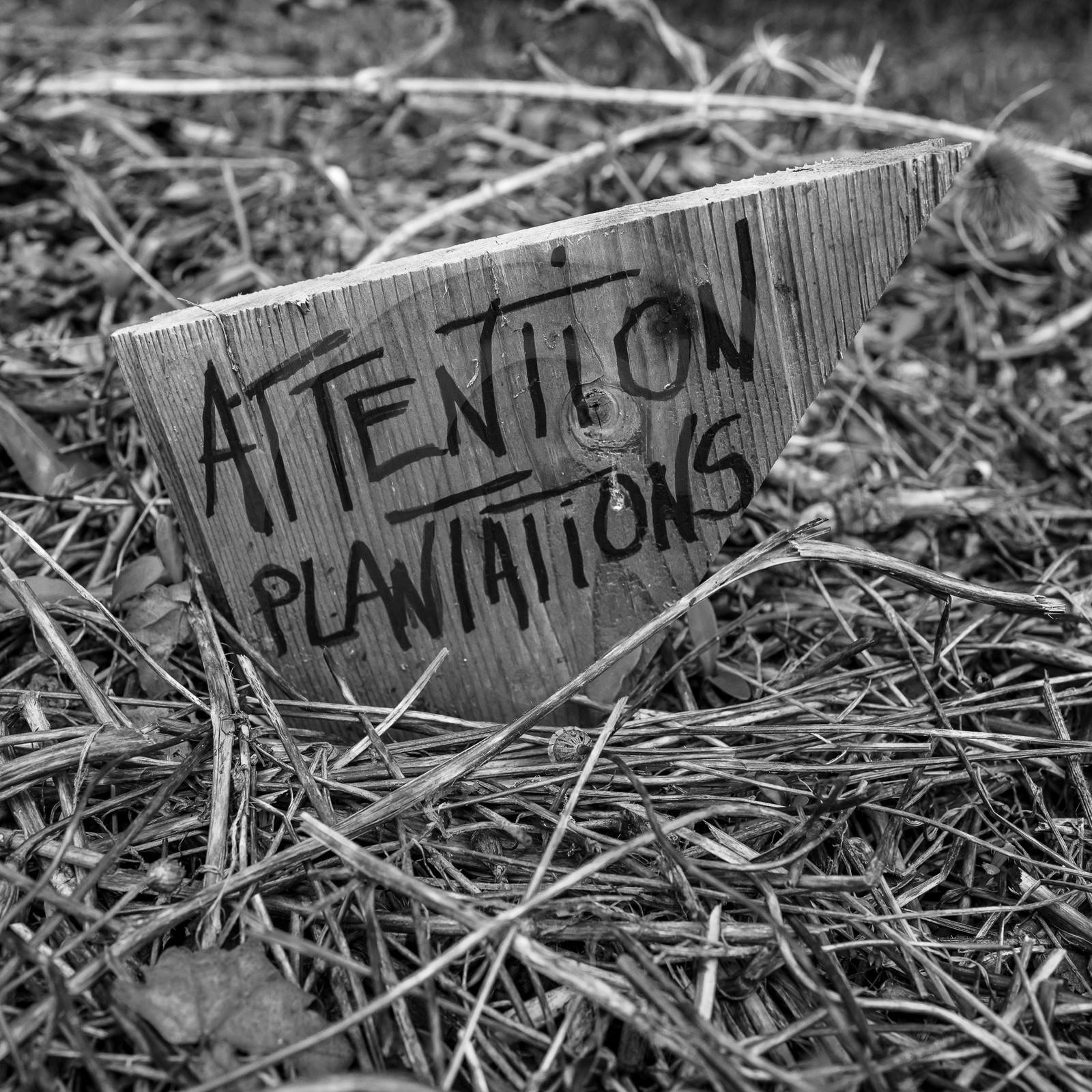 18 septembre 2023 : Journée des aidants et des aidés