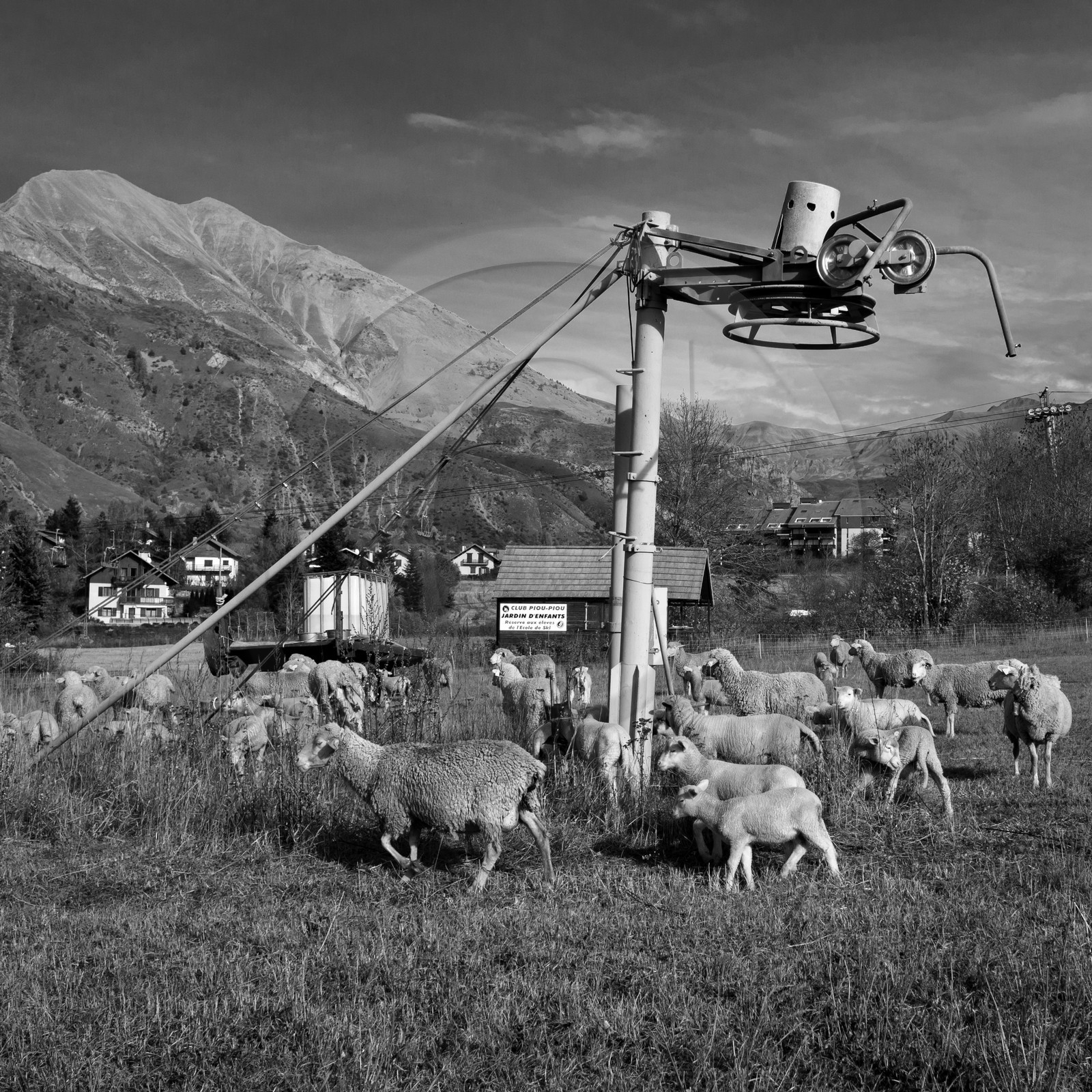 En attendant la neige