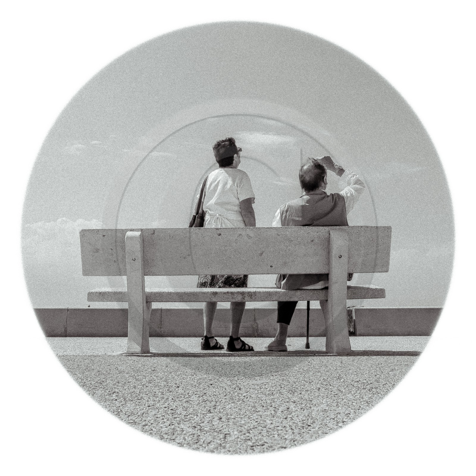 Les instants Camargue