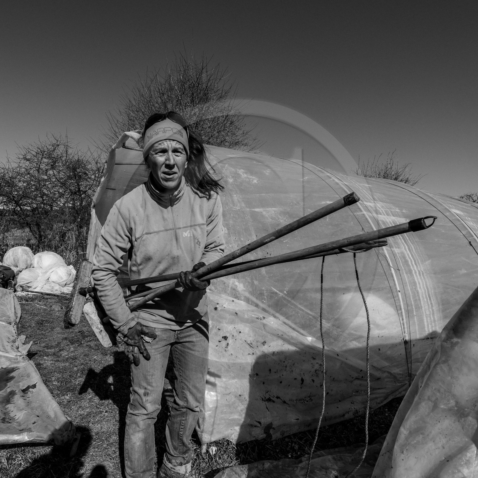 Montage de serres tunnel