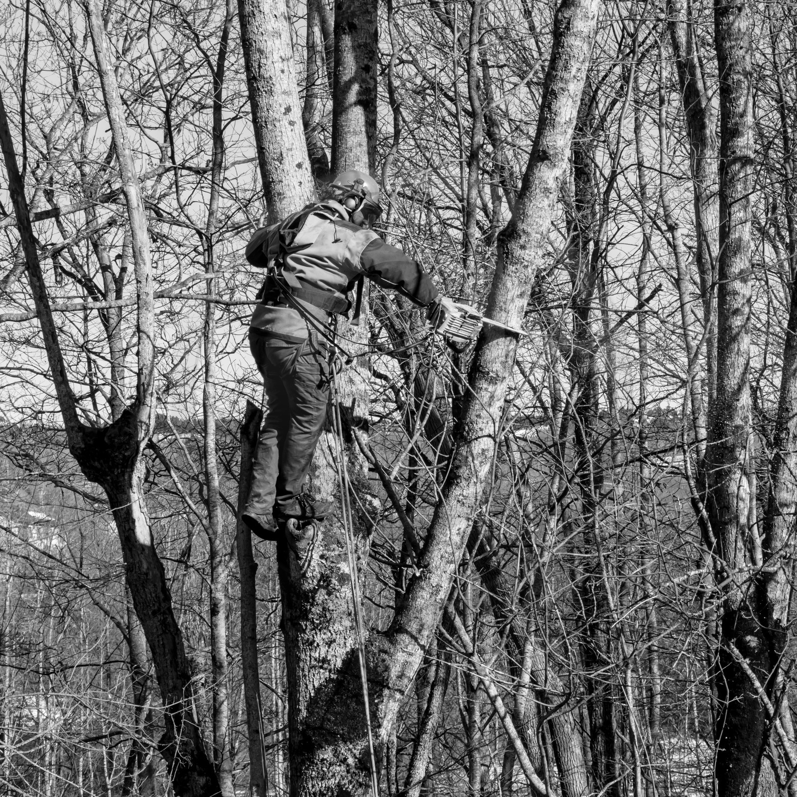 L'Ouort de Bénévent - 08 mars 2017