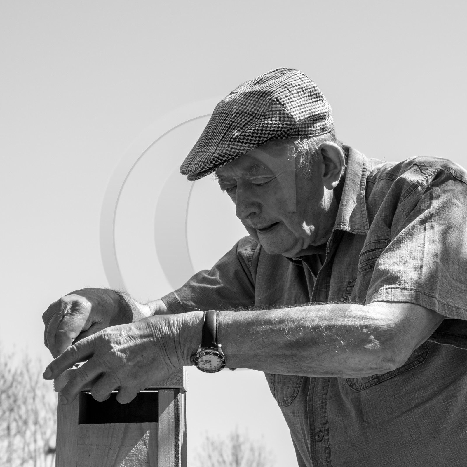 Fabrication de Nichoirs