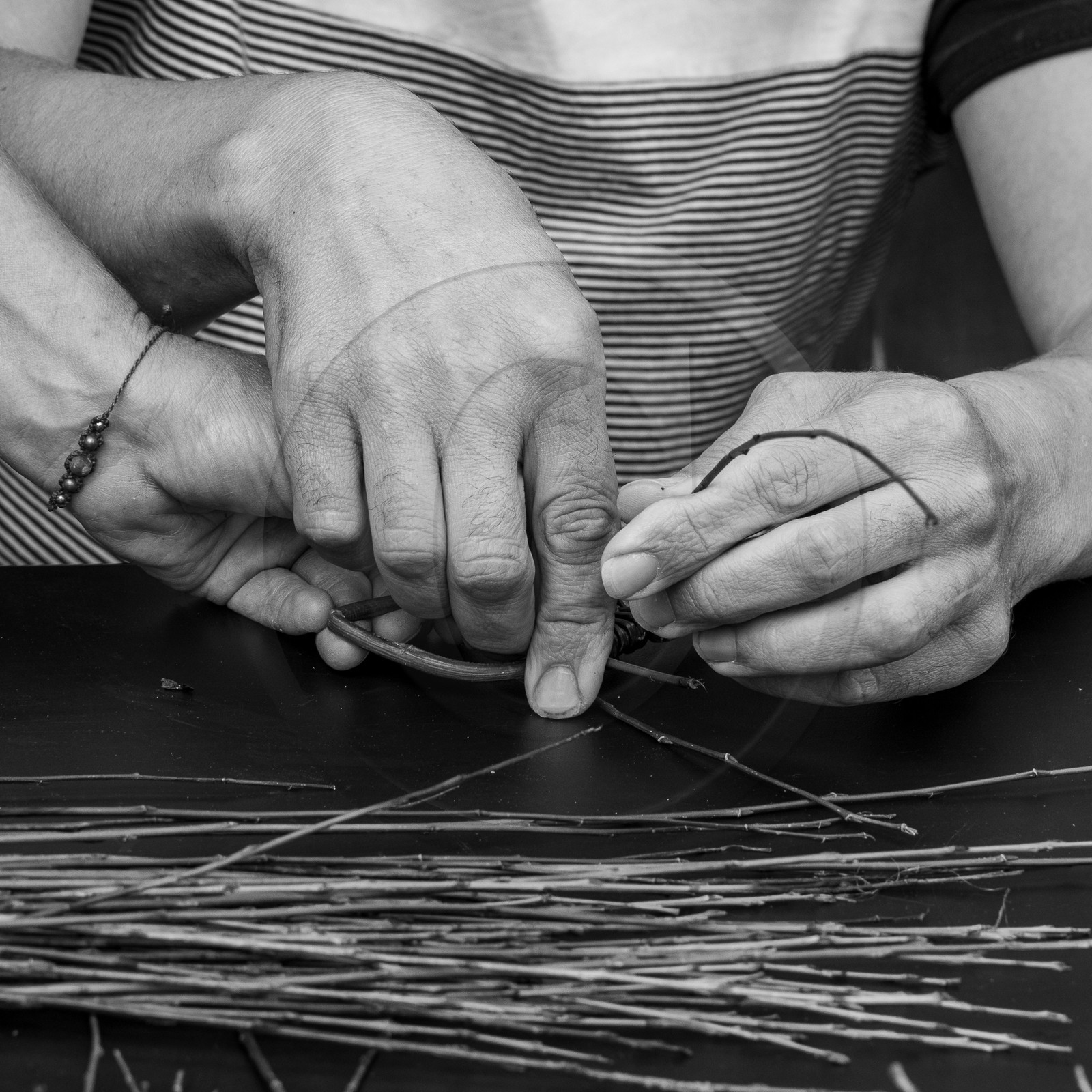 13 septembre 2023 : Osier et HydrOlique