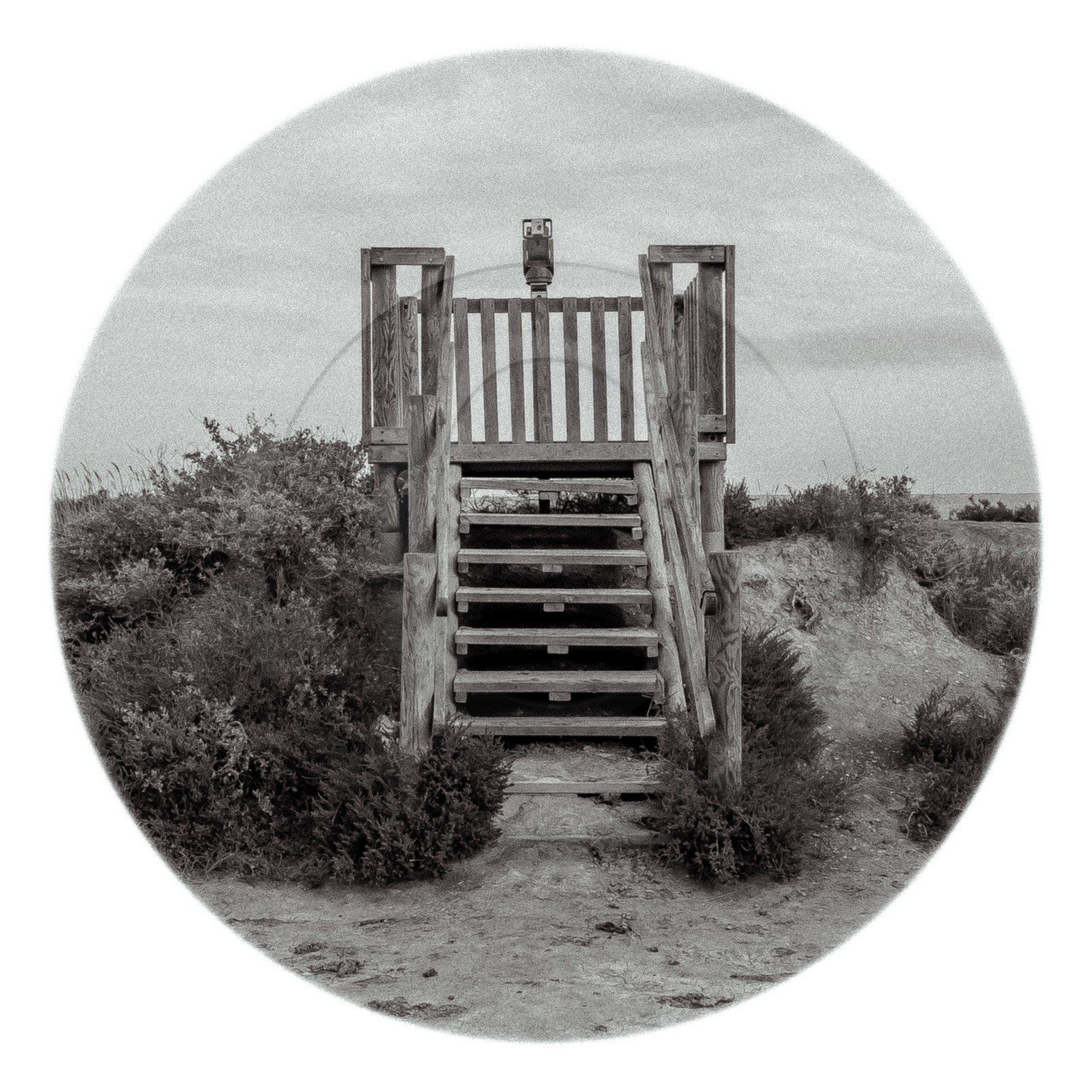 Les instants Camargue