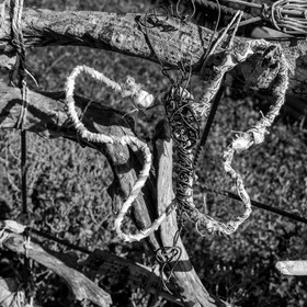 18 août 2021 : une journée avec l'APF