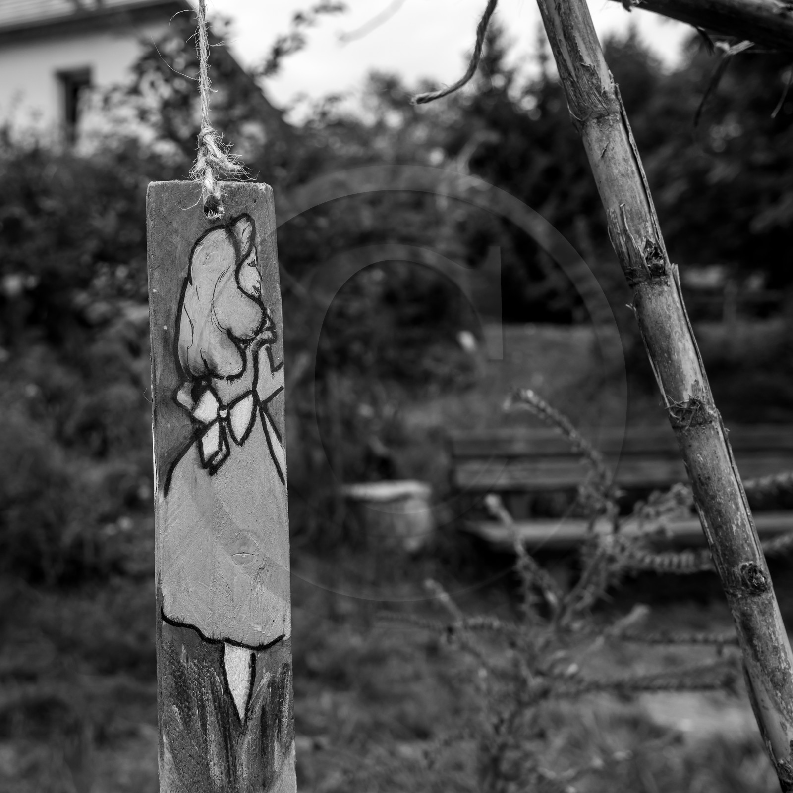 Exposition Alice