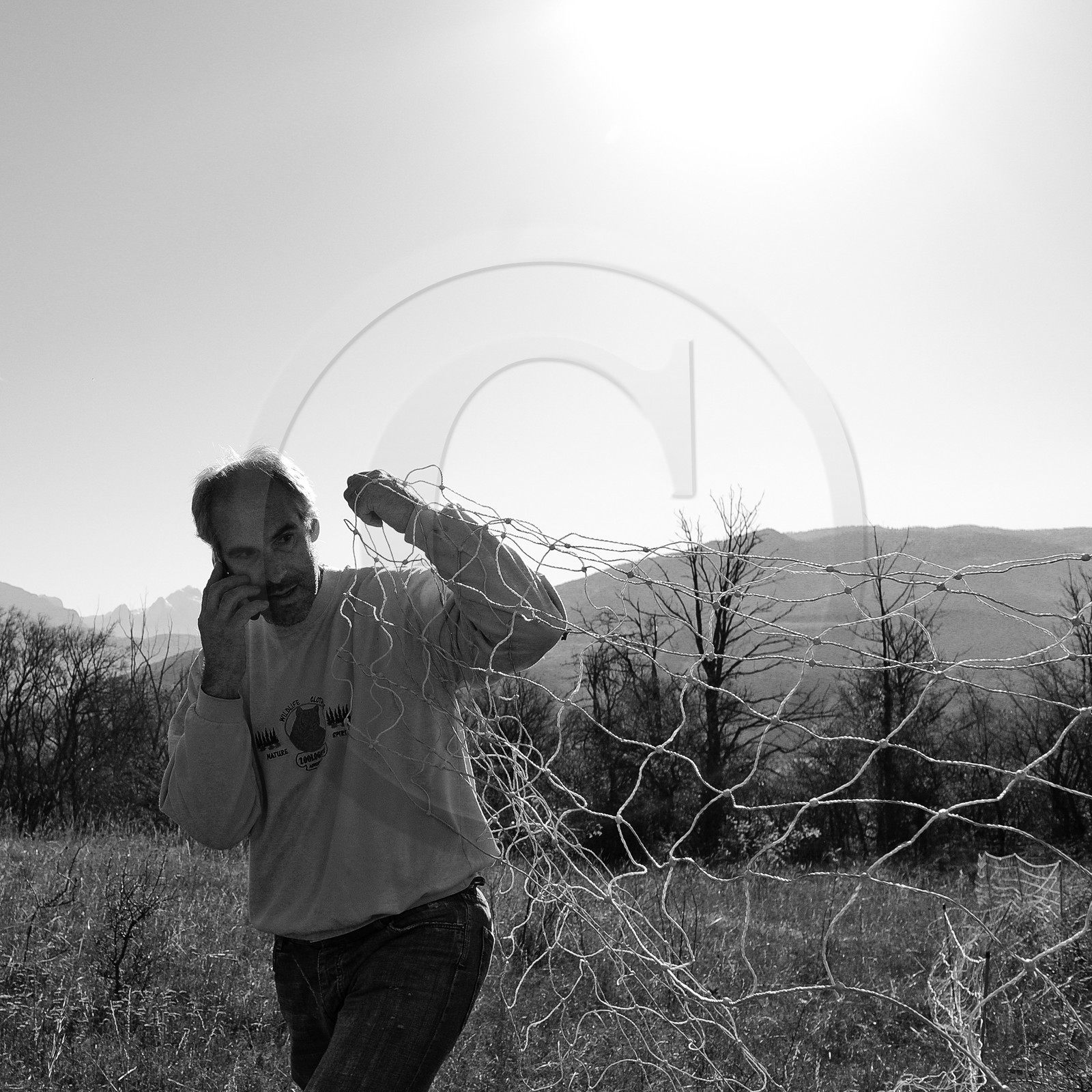 Des moutons et des parcs