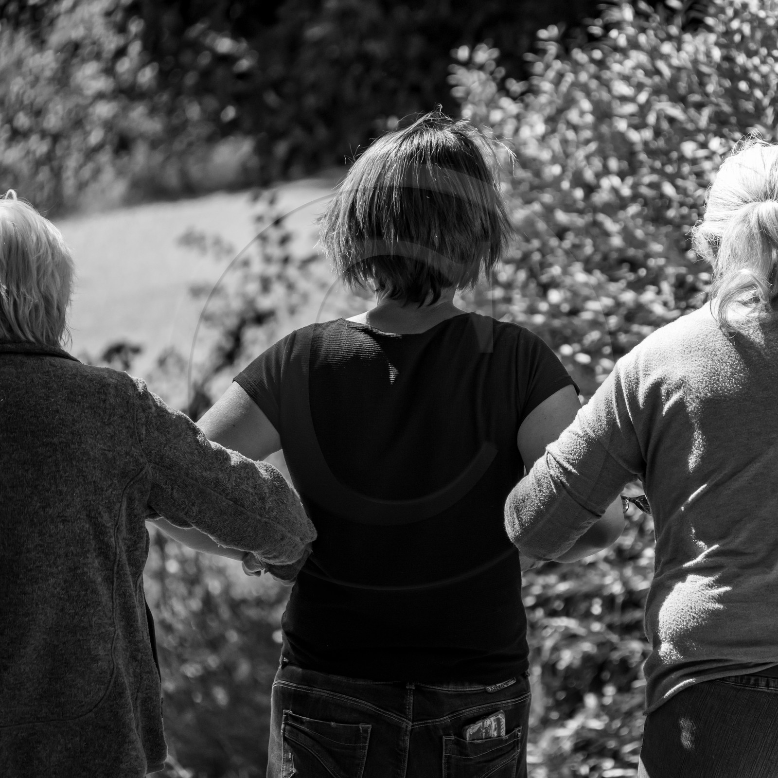 01 septembre 2021 : Promenade en cariole et contes