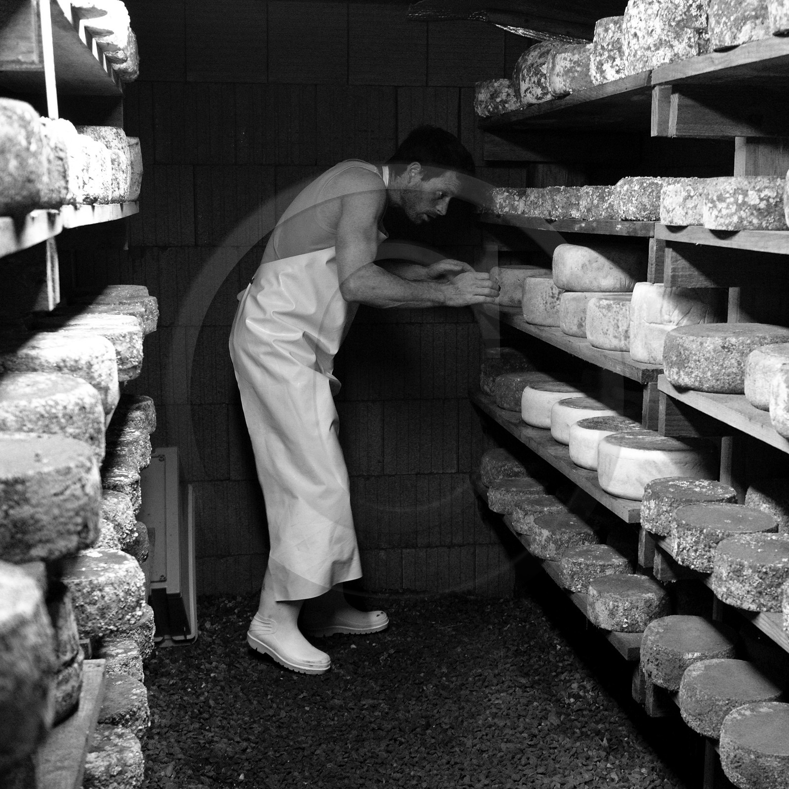 Paul Flambard, fromager