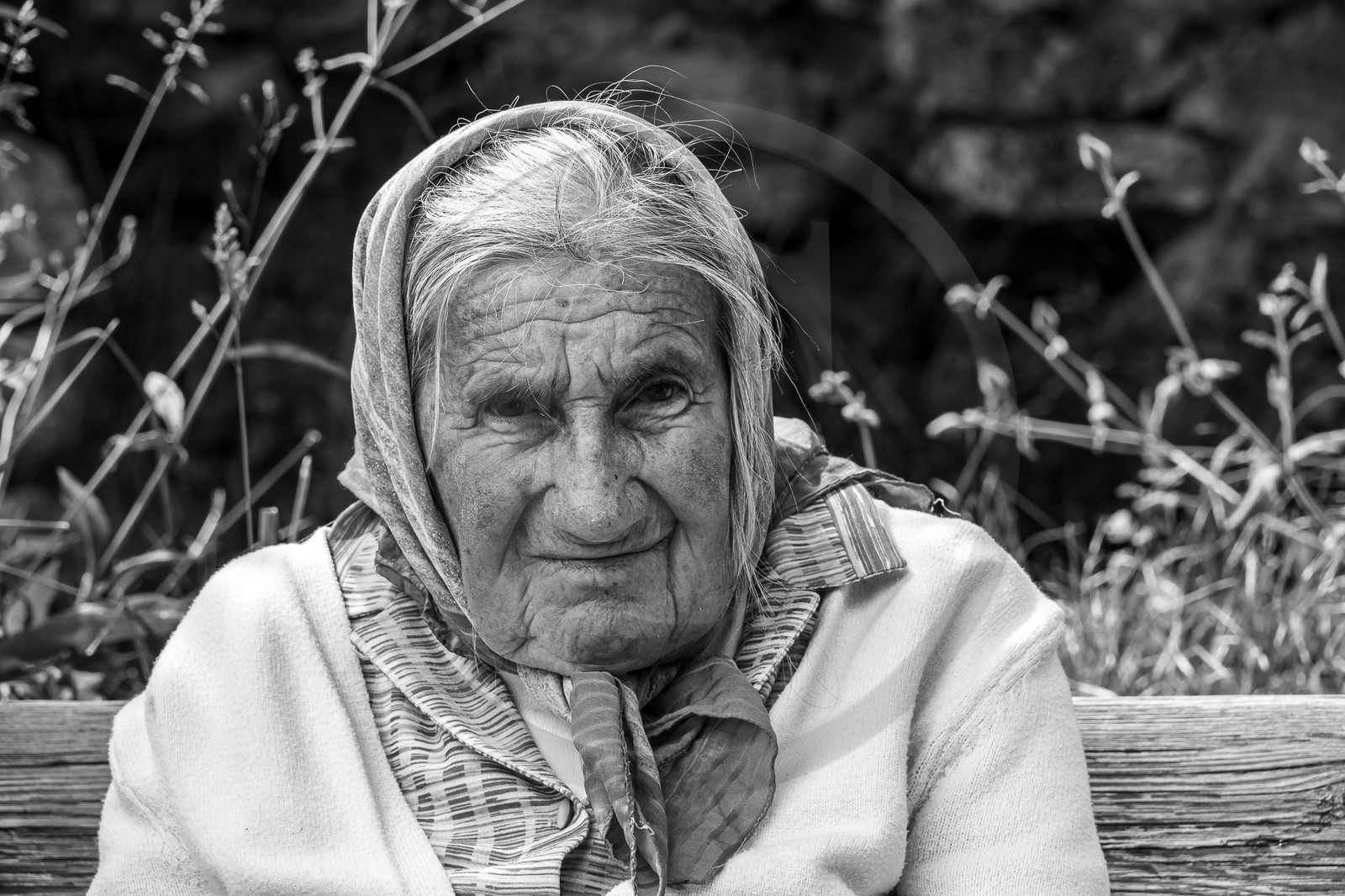 21 juin 2023 : Découverte botanique