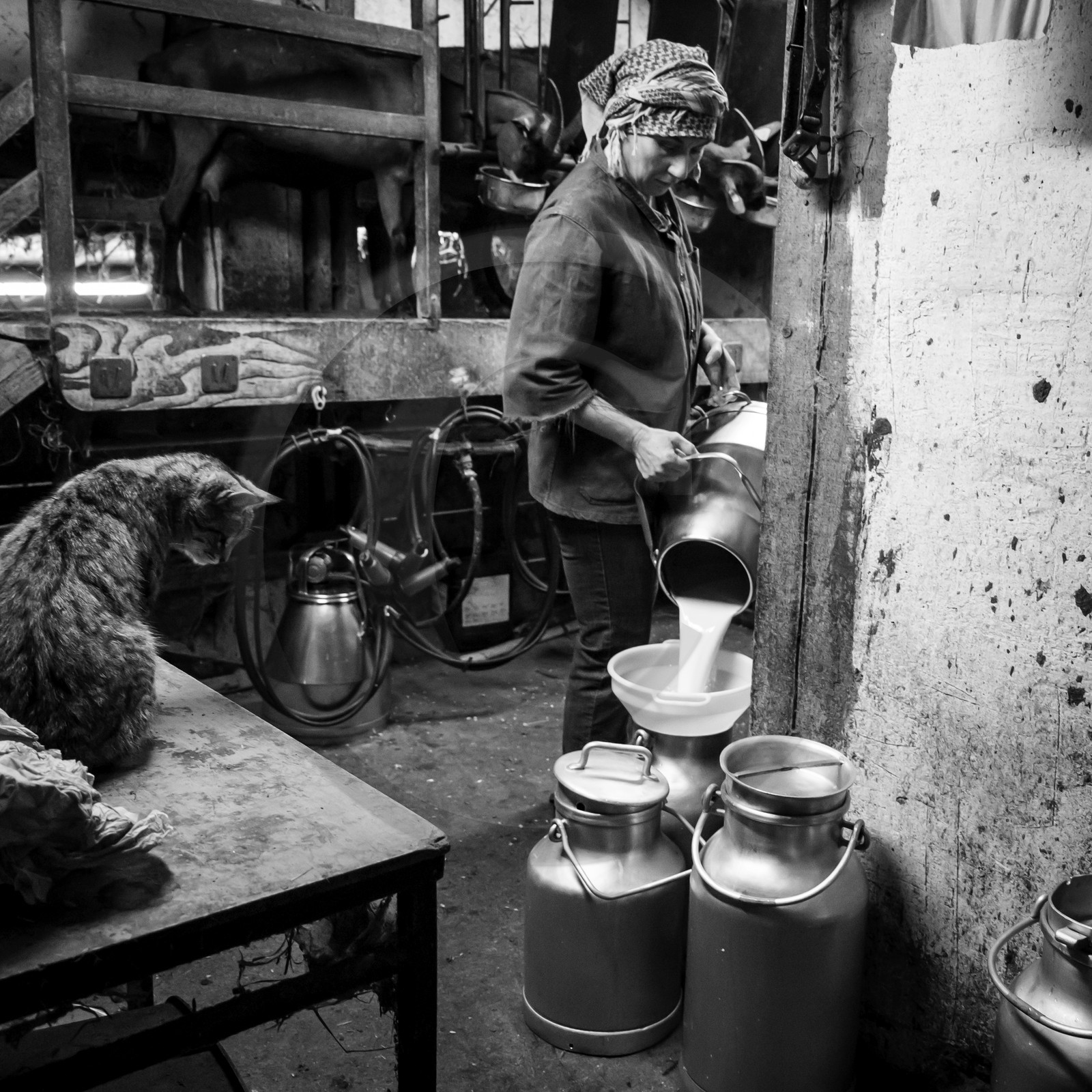 La ferme de Coste Joffre