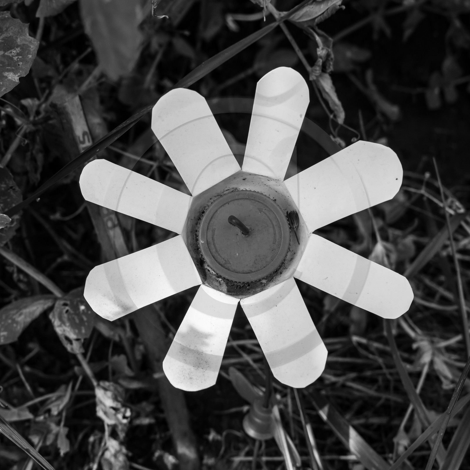 17 juillet 2019 : massages assis