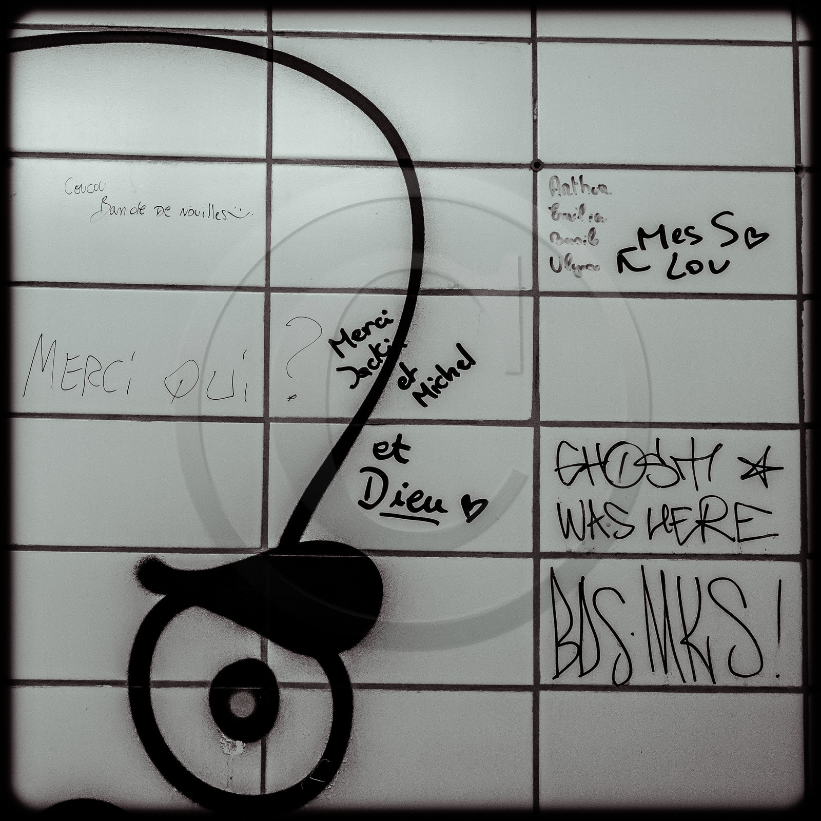 La piscine de Luminy (13)