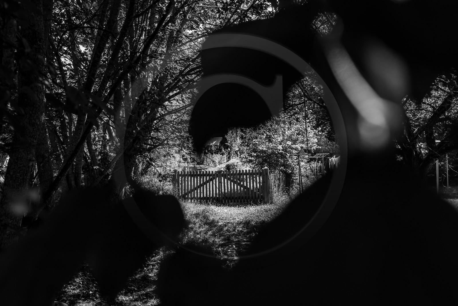 26 juin 2023 : journée des aidants et des aidés