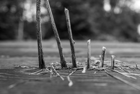 25 octobre 2023 : Unis-Cité et le voyage de Marina