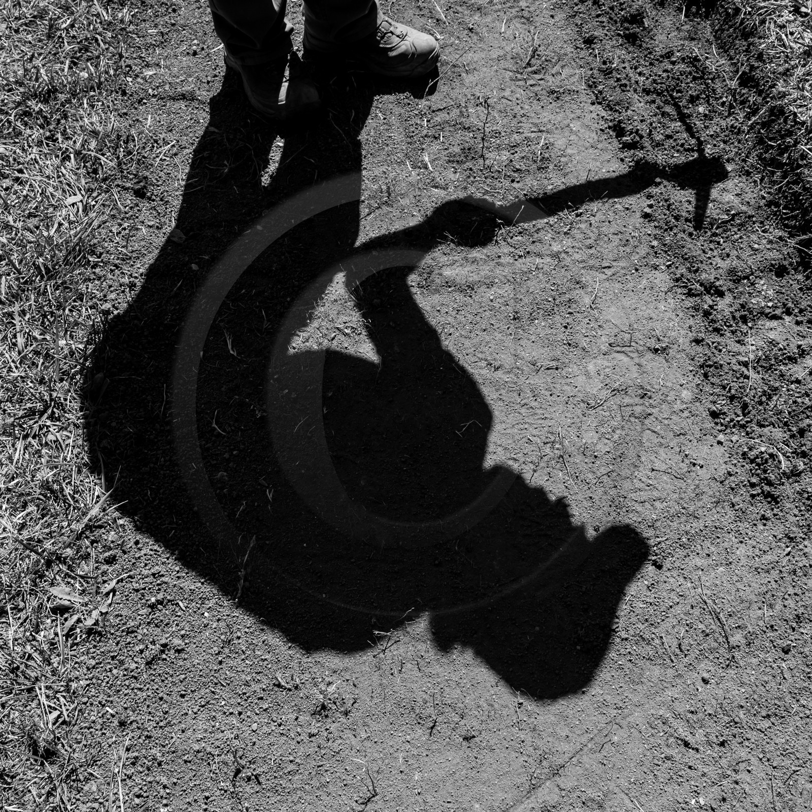 20 septembre 2017 - Jardinage