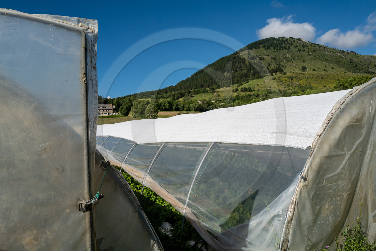 Légumontagne : maraichage biologique à Ancelle
