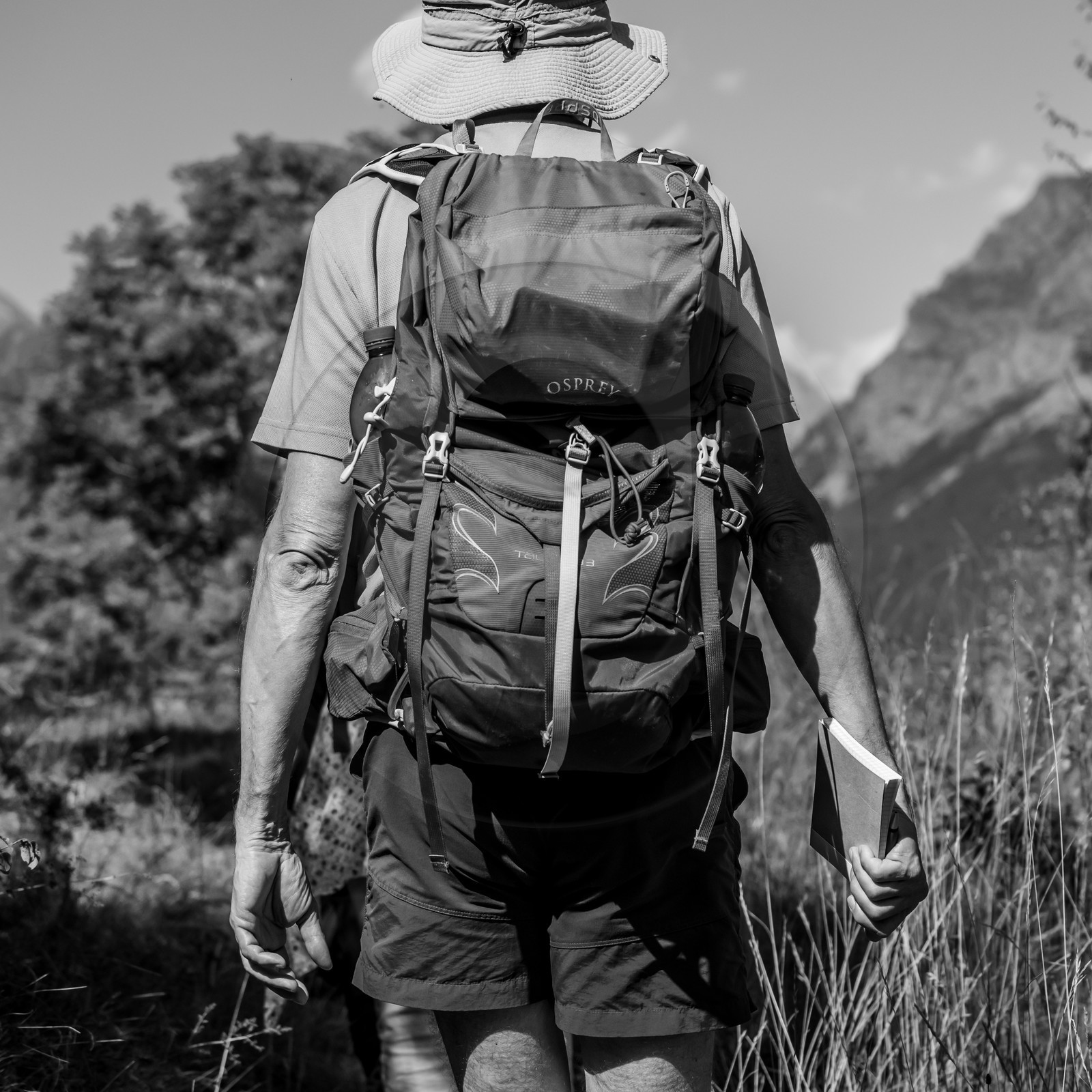 Arpenter le paysage avec Martin de la Soudière