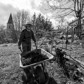 14 avril 2021 : collages, taille, jardinage